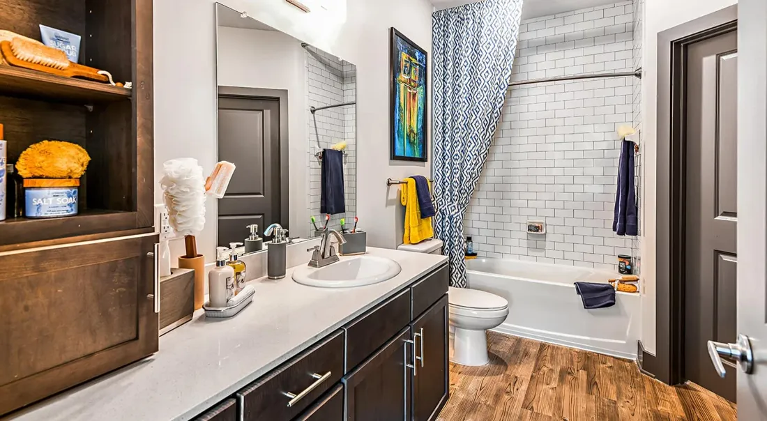 Bathroom vanity cabinetry with mirror in a renovated unit